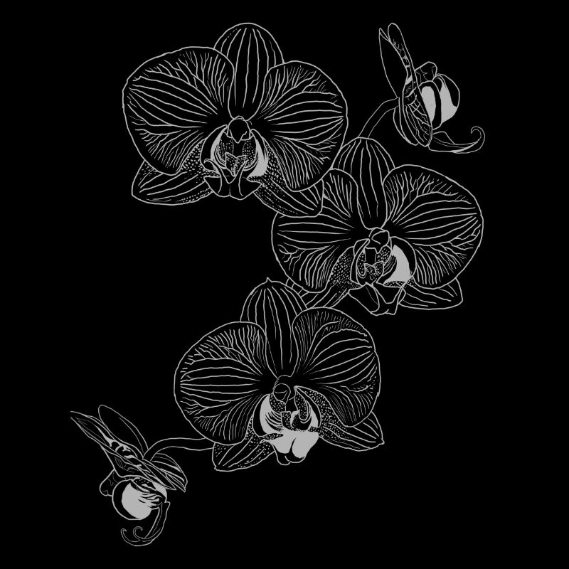 Schwarze Orchidee