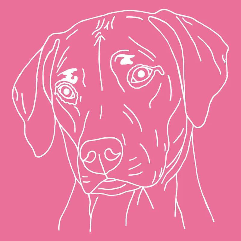 Rhodesian Ridgeback