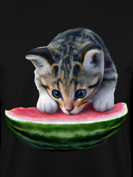 Chat et pastèque