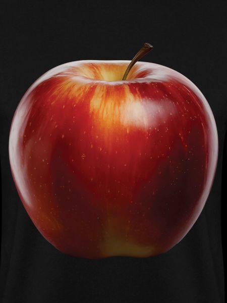 Apfel Frucht Geschenk