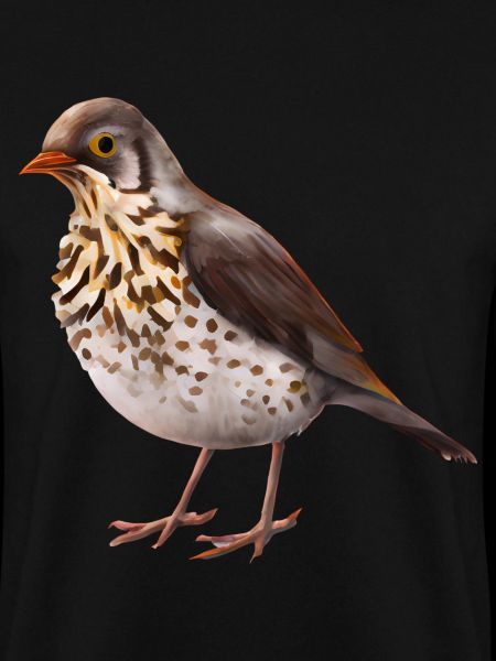 Thrush bird