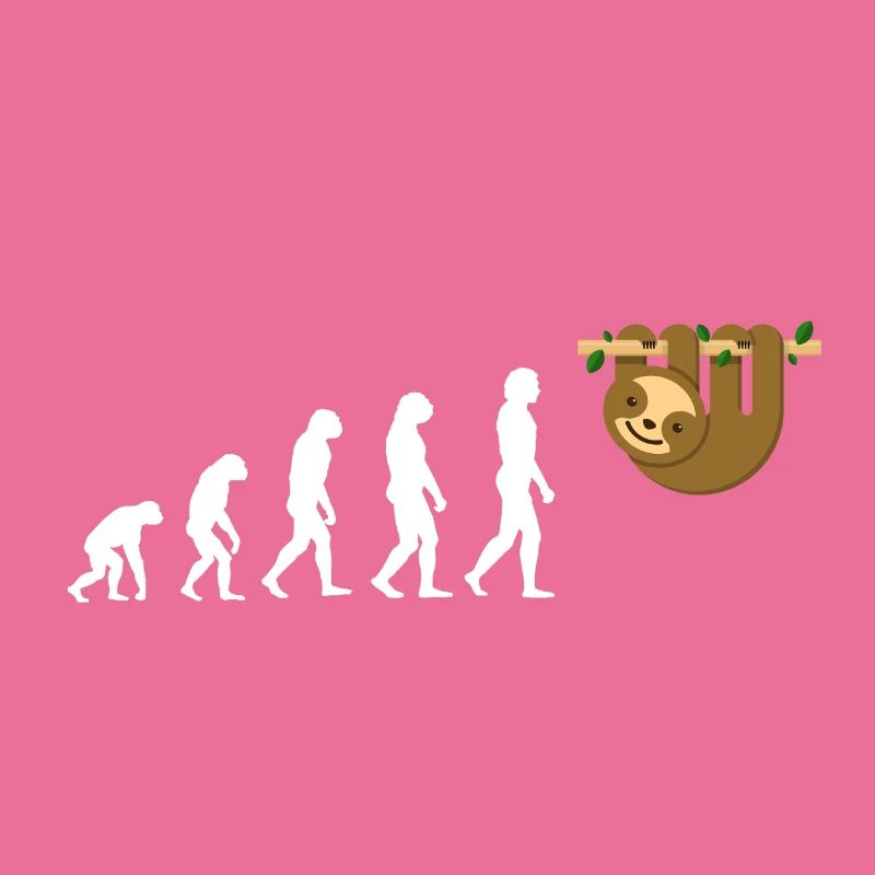 Evolution Sloth Faultier Tier Tierliebe Sweet Love