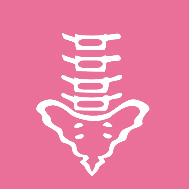 spine