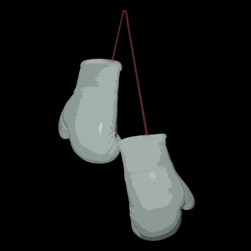 Boxhandschuhe