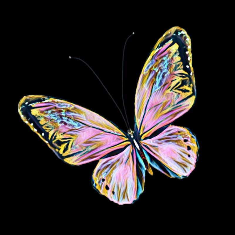Schmetterling