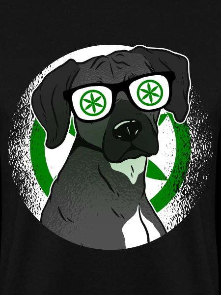 Padanien
