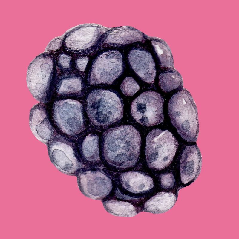 Brombeere