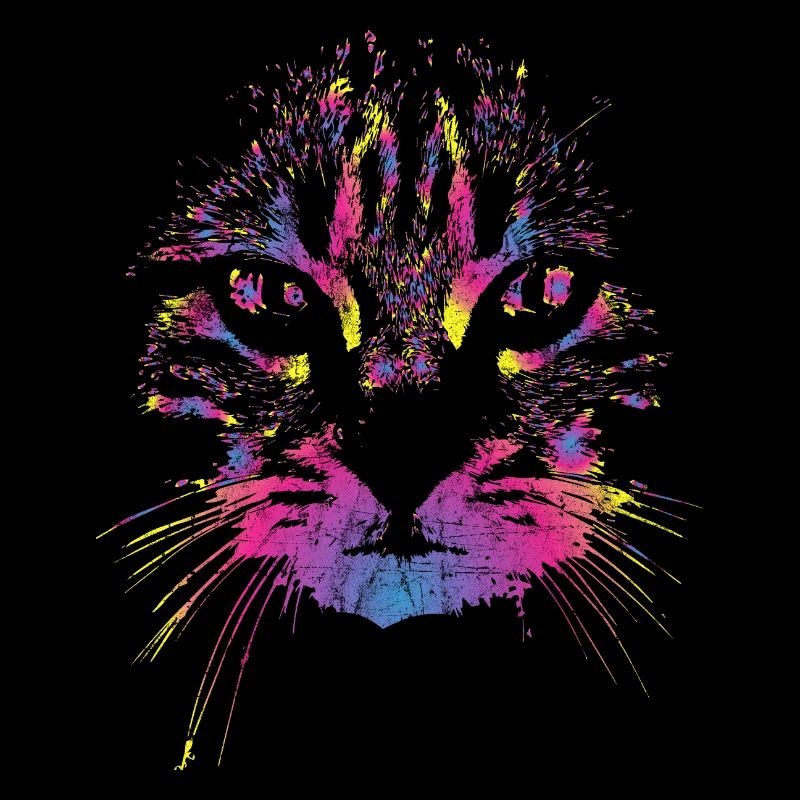 Chat coloré