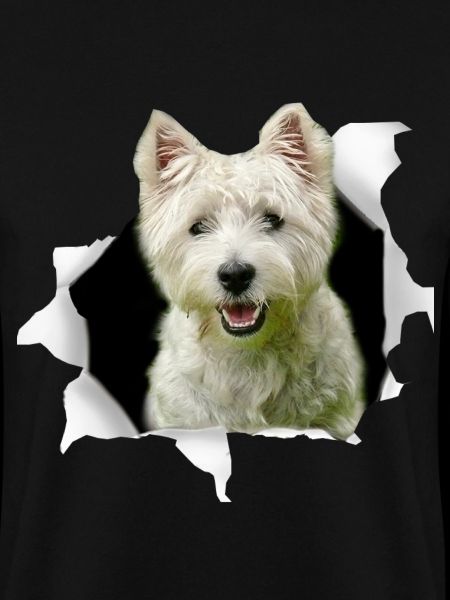Westie - Westie Dog