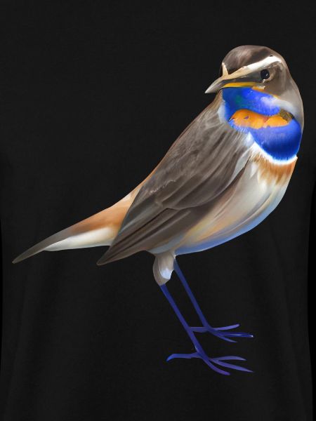 Bluethroat Bird