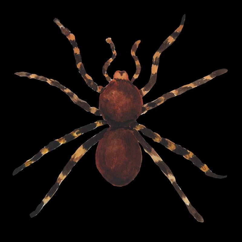 Spider Insect Disgusting Poisonous Gift Idea