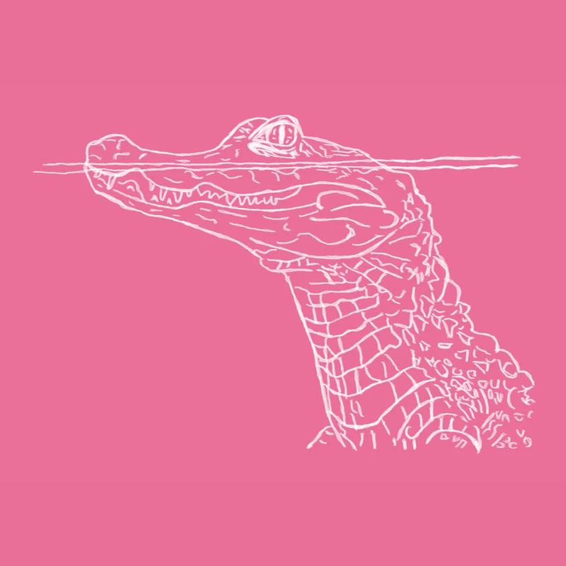Crocodile Blanc