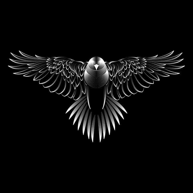 Beautiful animal graphics with buzzard