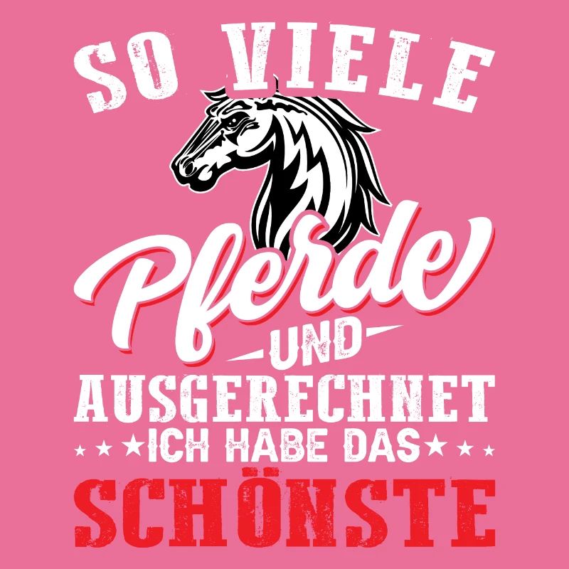 schönstes Pferd