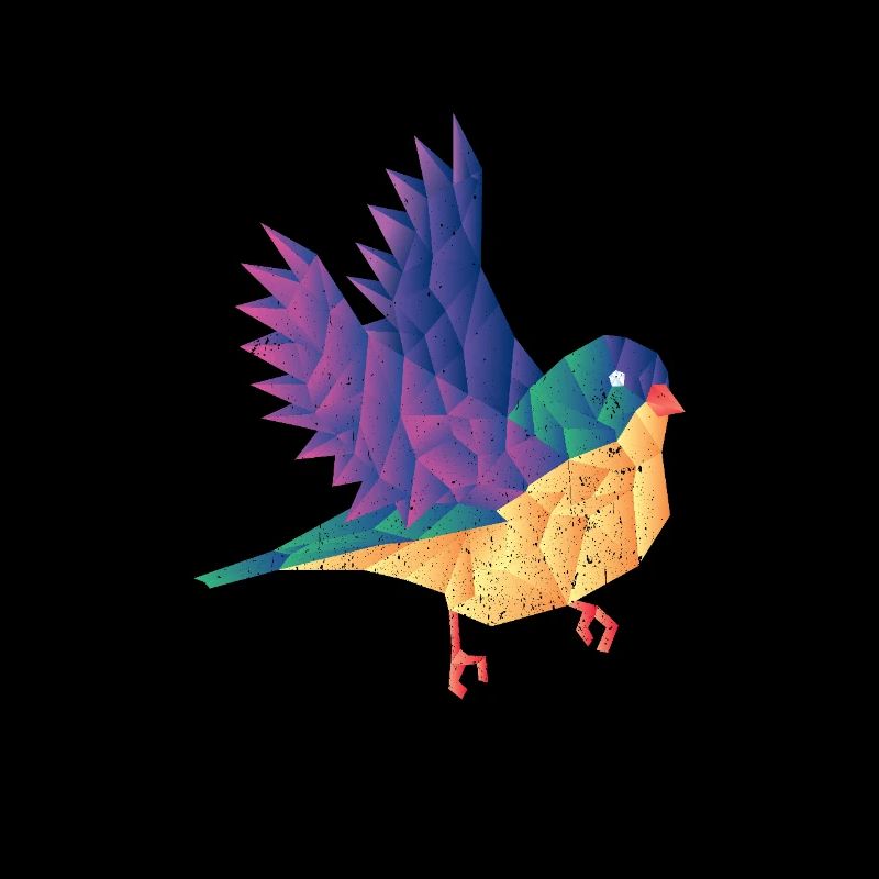 Vögel Vogelbeobachter Frühling Vogel
