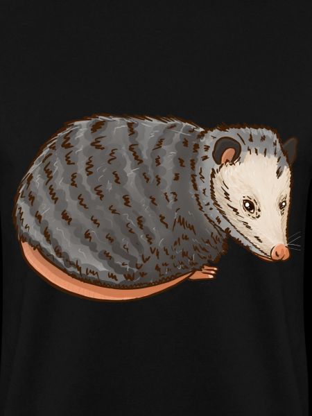 Opossum