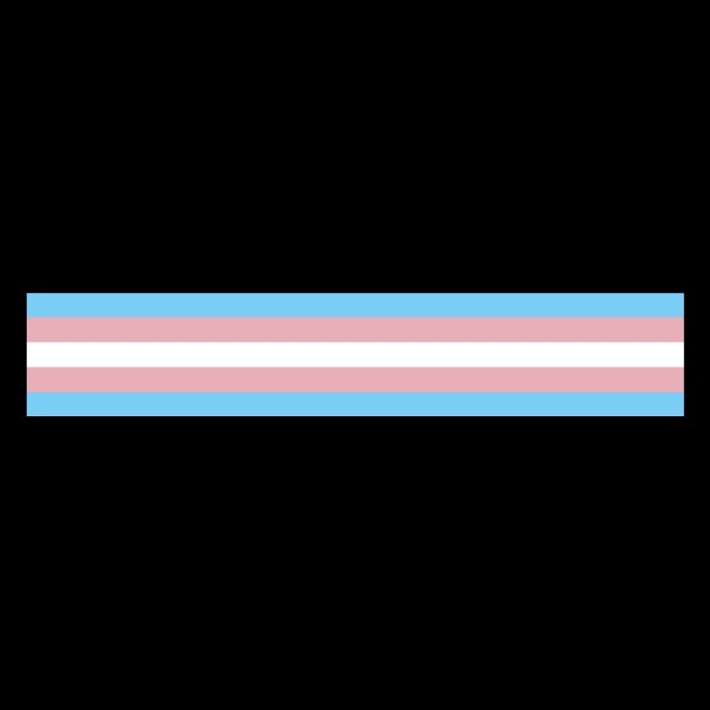 Transgender Pride Flag