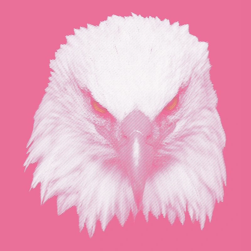 Great Eagle Kopf