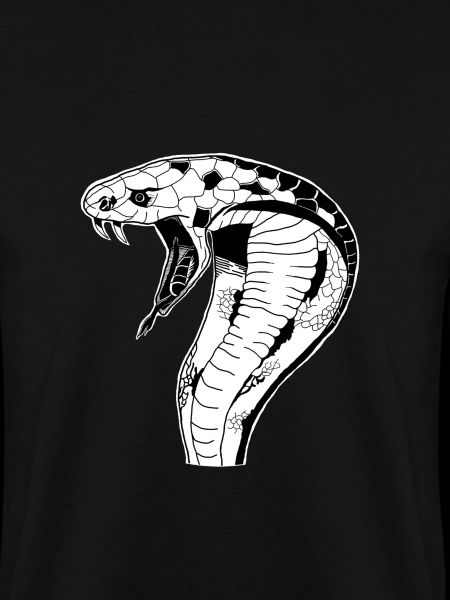 Snake. Cool gift idea