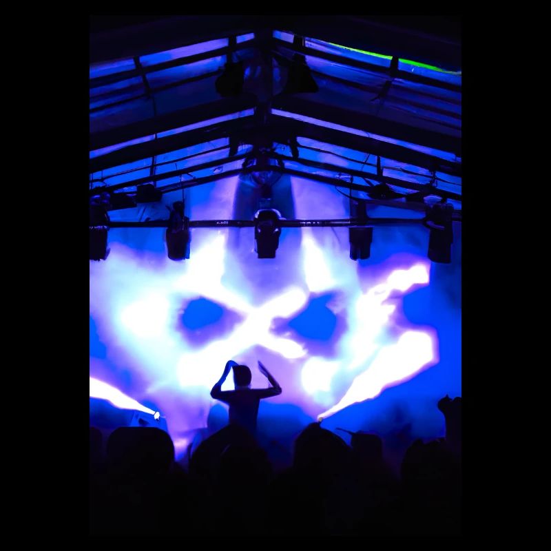 DJ beim Festival