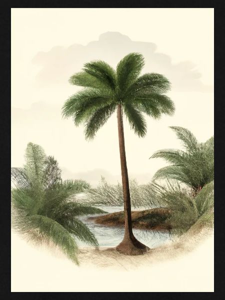 Palme am See