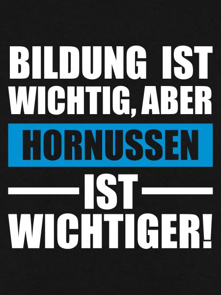Hornussen Sportart