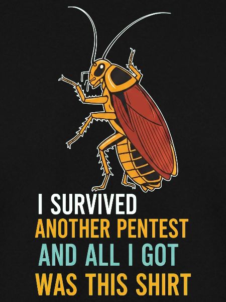I Survived Another Pentest Kakerlake