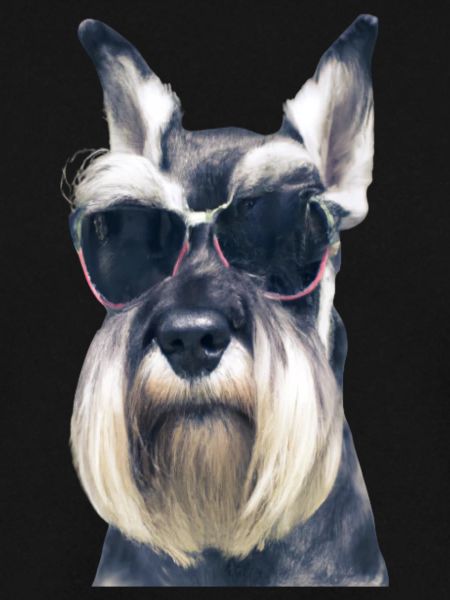 Miniature Schnauzer