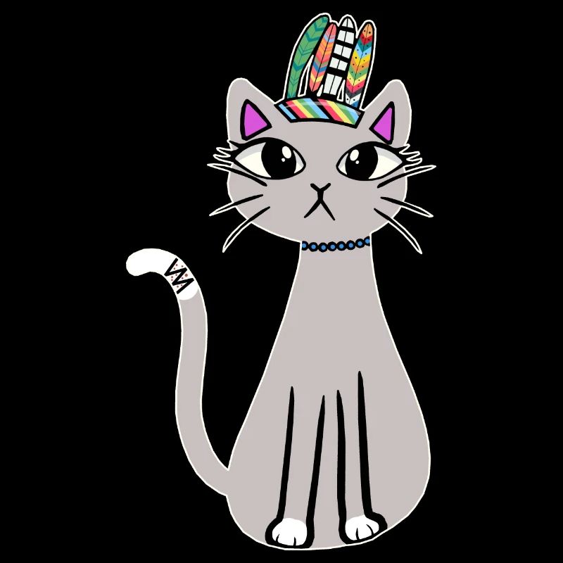 Chamane Chat Chaton Chaman Chat Enfants
