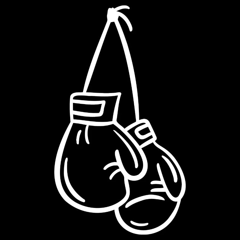 Boxhandschuhe Boxen Kampfsport