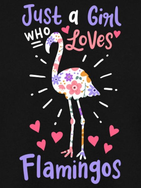 Flamingo Vogel Flamingo Liebhaber
