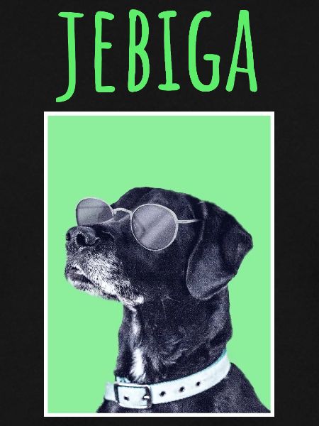 JEBIGA MAJICA