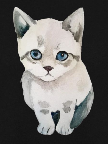 Süße Katze