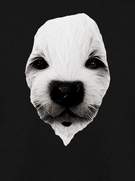 Welpen Gesicht
