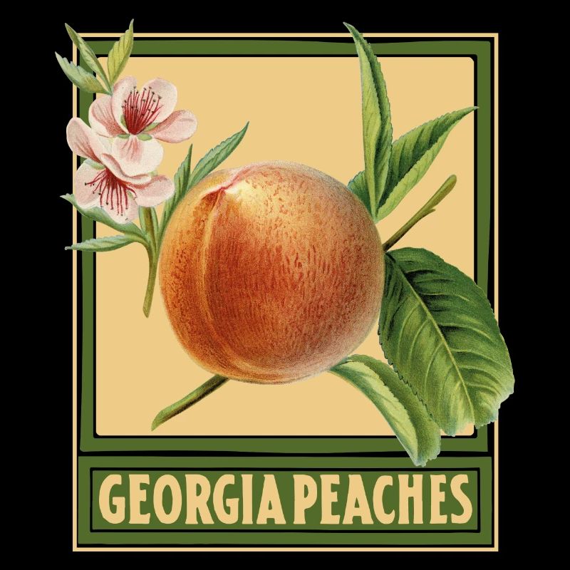 Georgia Pfirsiche / Sommerdesign