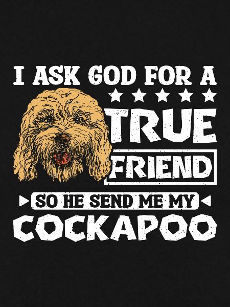 Dieu m’envoie mon cockapoo
