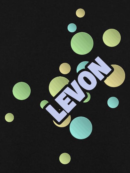 Levon als Fachhochschule