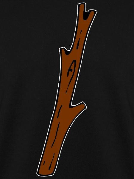 Ast