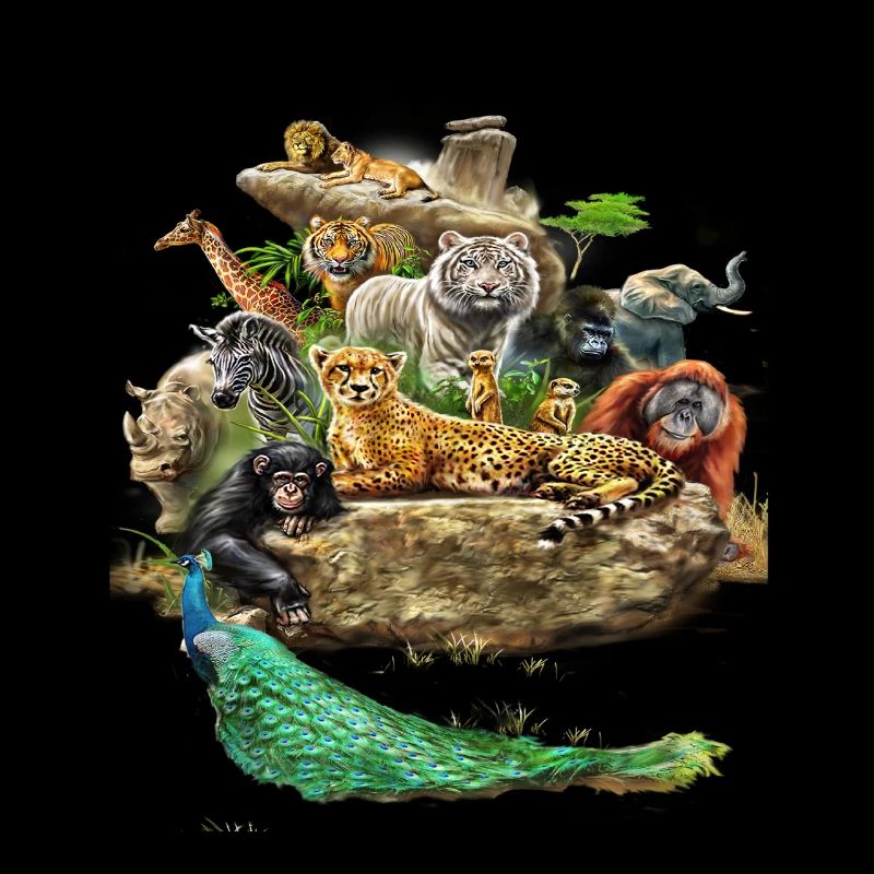 Die wunderschöne Tierwelt