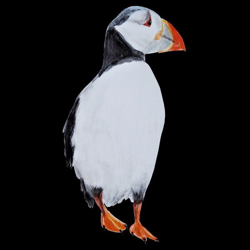 Papageientaucher