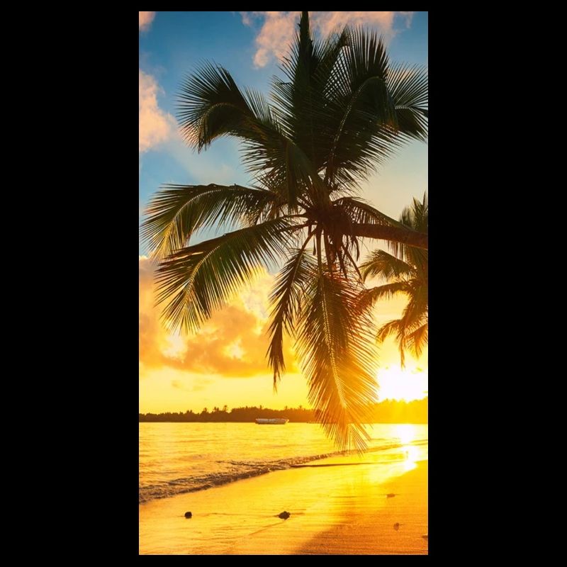 Holiday