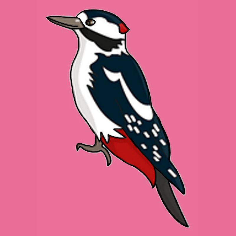 Buntspecht