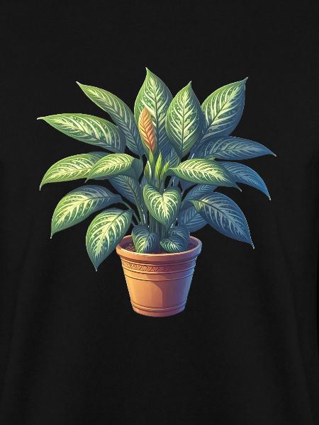 Dieffenbachia-Pflanze im Topf