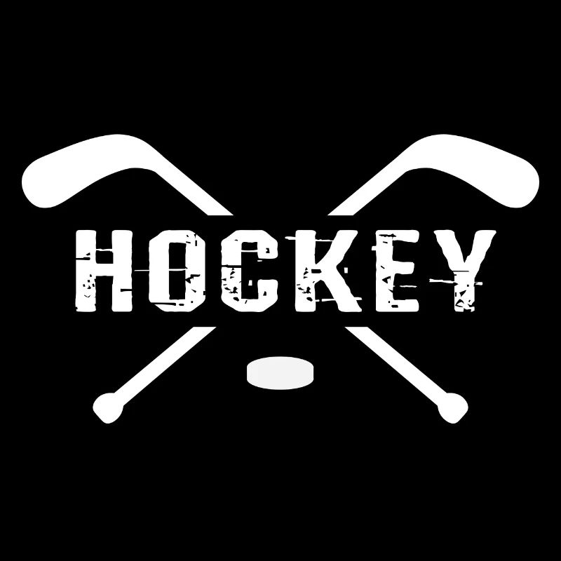 Bâtons de hockey