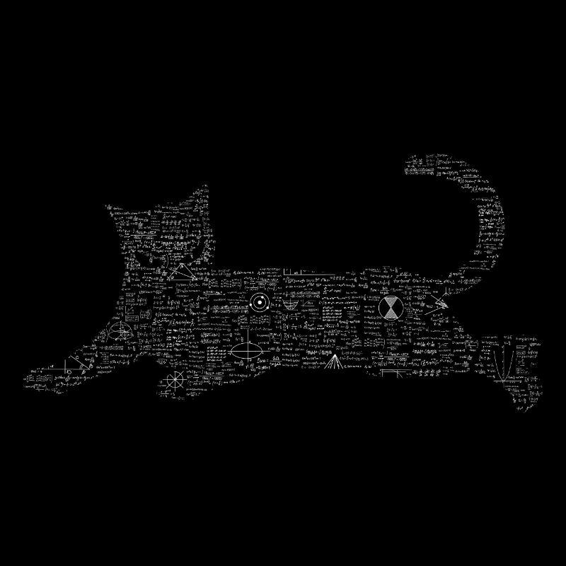 Chat de formule Schrödinger