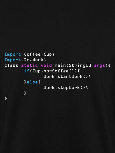 C++ Programmer