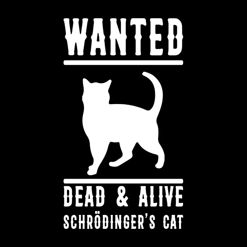 Chat de Wanted Schrödinger