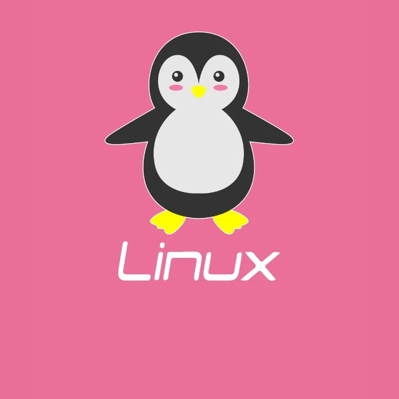 Geek Linux