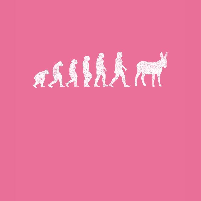 Donkey Mules Mules Mulis Evolution