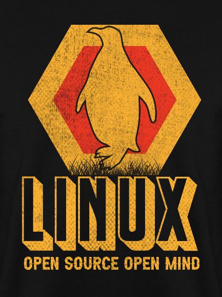Linux Geek Informaticien